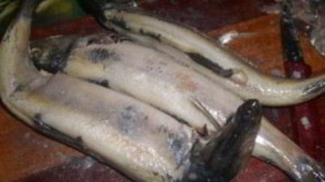 сельдь по-исландски