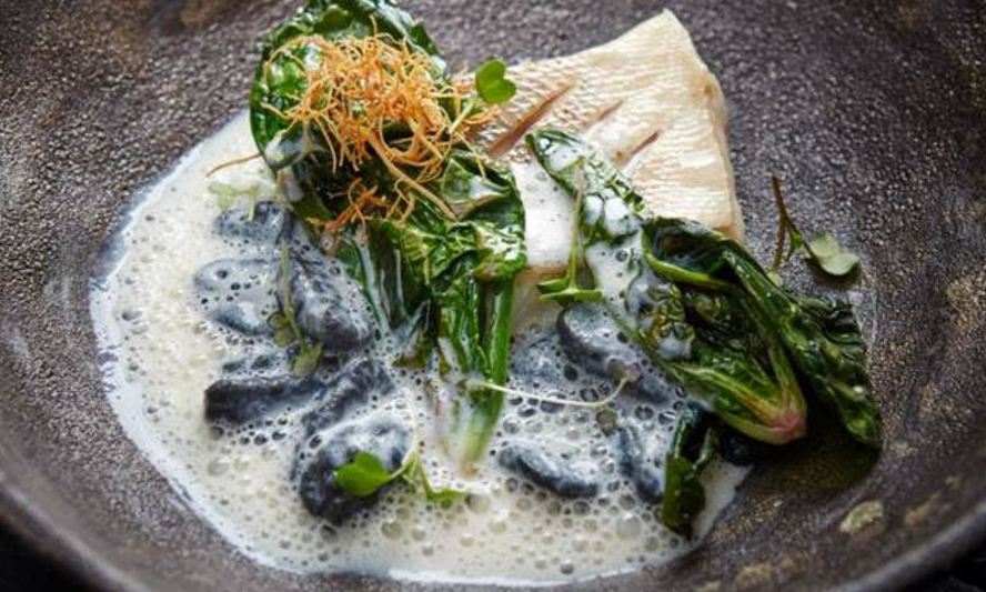 Рецепт судак с копченым молоком