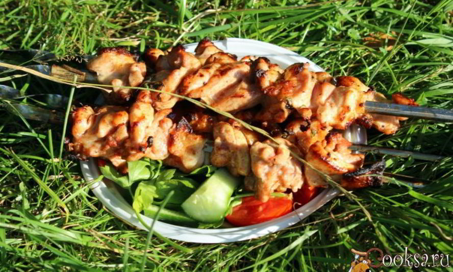 Рецепт куриный шашлык в томатах и пряной зелени