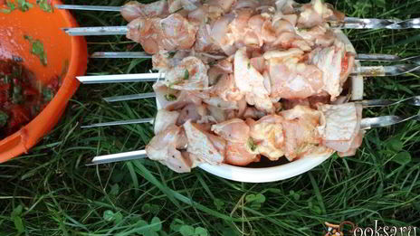 куриный шашлык в томатах и пряной зелени