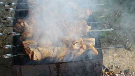 куриный шашлык в томатах и пряной зелени