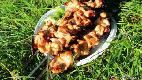 куриный шашлык в томатах и пряной зелени