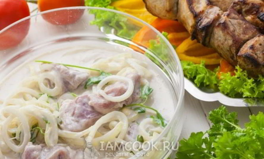 Рецепт маринад для шашлыка из свинины на кефире