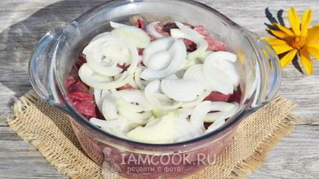 шашлык из куриной печени