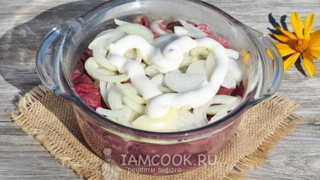 шашлык из куриной печени