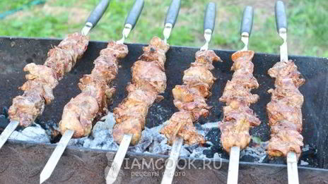 шашлык из куриной печени
