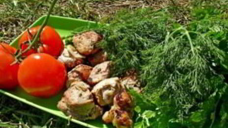 шашлык из свинины с луком