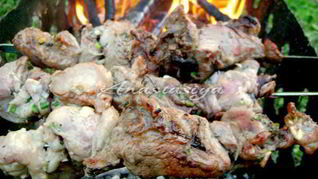 Шашлык из свинины в кефире с зеленым луком