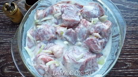шашлык из свинины в кефире