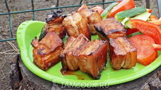 Шашлык из свиной грудинки в томатно-соевом маринаде с медом