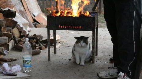 шашлык ответы на вопросы