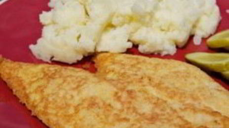 куриные шницели