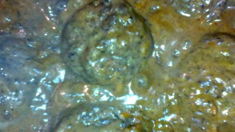 тефтели в грибном соусе