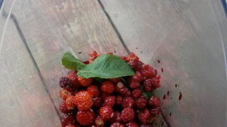 вареники с вишней и ягодным соусом