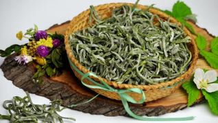 Зеленая домашняя лапша с крапивой