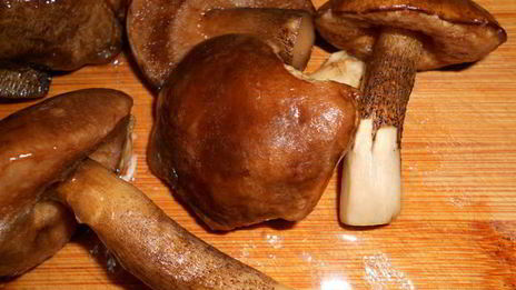 жаркое с грибами в мультиварке