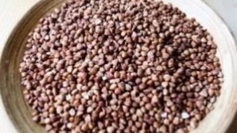 каша гречневая с говядиной