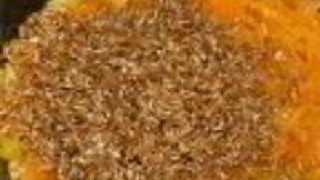 каша из полбы в мультиварке