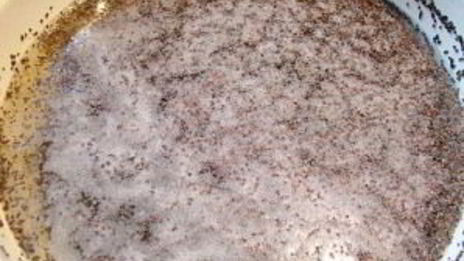 кутья закарпатская