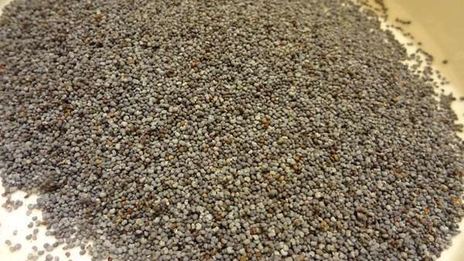 медовая кутья