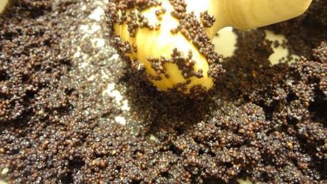 медовая кутья