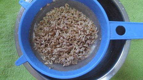 овсяная каша из цельного зерна