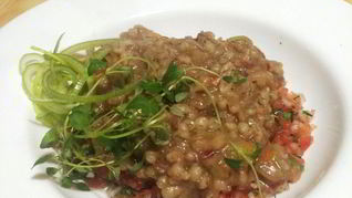 Перловая каша с тушеной говядиной и конкассе из томатов