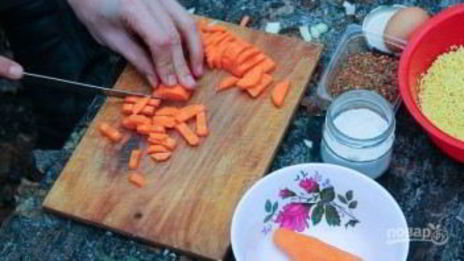 полевая каша