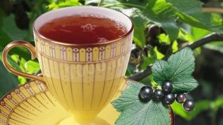 Чай из листьев смородины