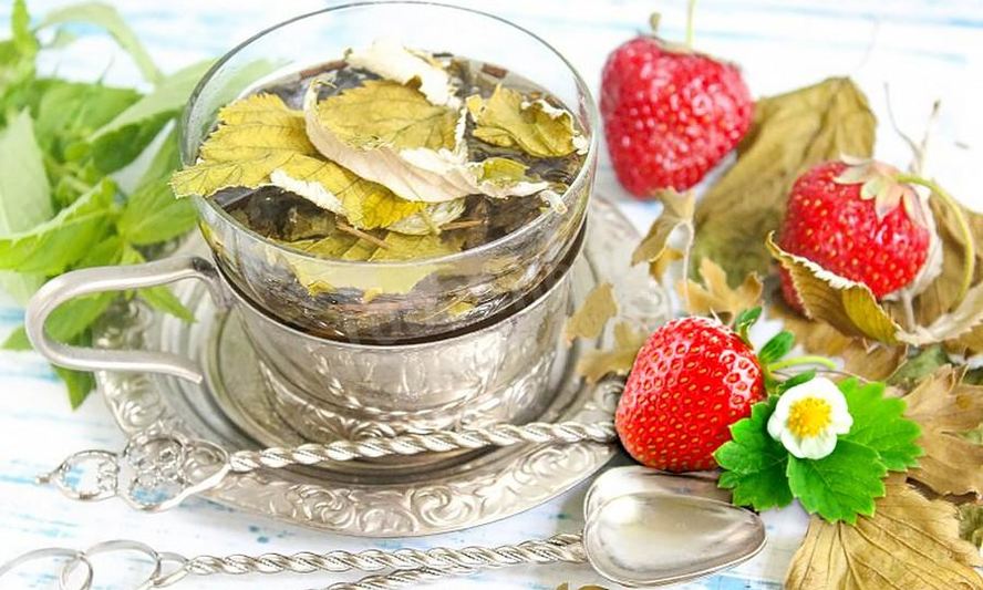 Рецепт чай из сушеных листьев малины, клубники и смородины