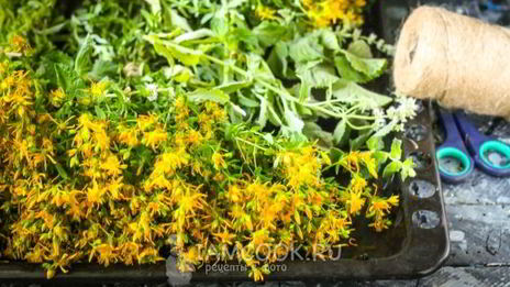 чай из зверобоя