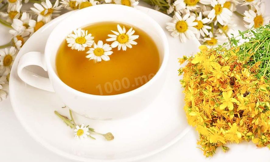 Рецепт чай ромашка зверобой
