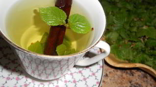 Чай с березовыми листочками