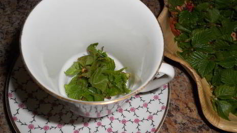 чай с березовыми листочками