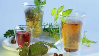 Чай с мятой и смородиной