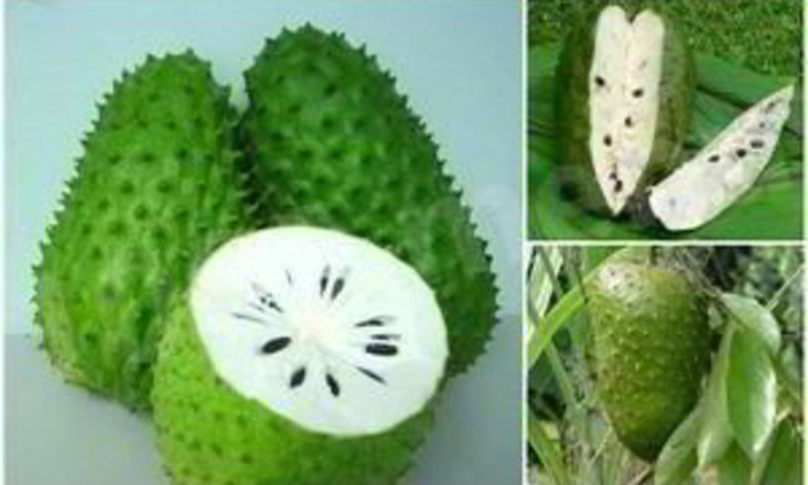 Рецепт чай с саусепом