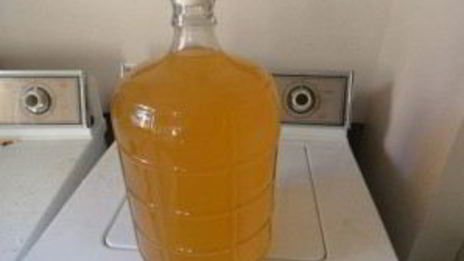 домашнее вино из облепихи