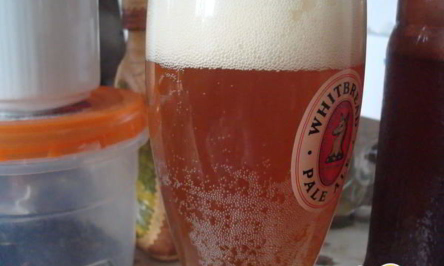 Рецепт домашнее живое пиво