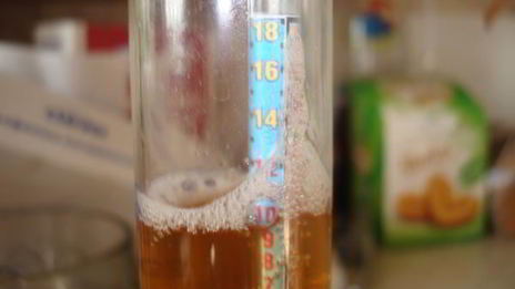 домашнее живое пиво