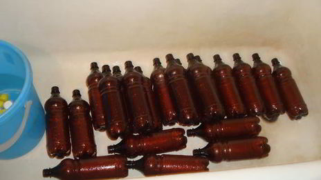 домашнее живое пиво