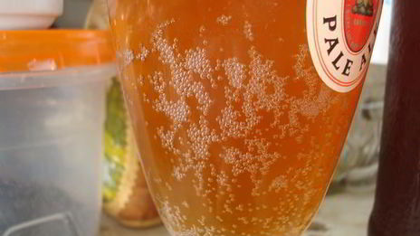 домашнее живое пиво