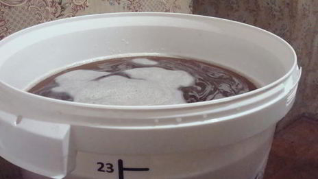 домашнее живое пиво