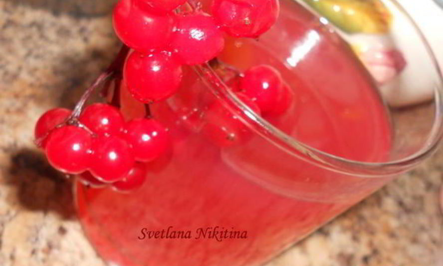 Рецепт кисель из калины