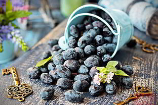 Кисель из жимолости