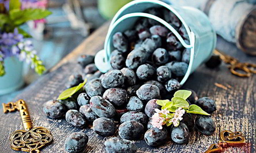 Рецепт кисель из жимолости