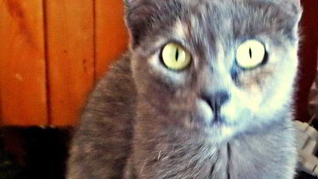 карамельно-ореховый кофе