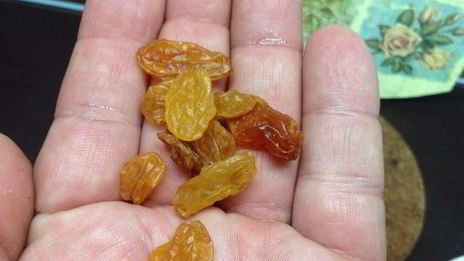 квас для настроения велкам ту шамбала