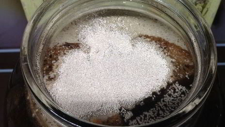 квас для настроения велкам ту шамбала