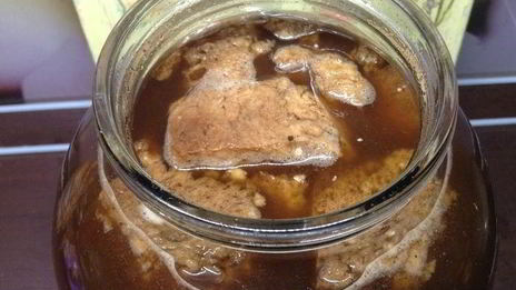 квас для настроения велкам ту шамбала