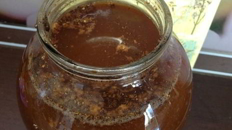 квас для настроения велкам ту шамбала